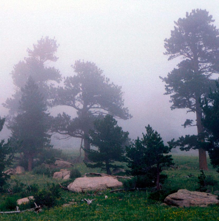 The smell of rain | News, Sports, Jobs - Adirondack Daily Enterprise